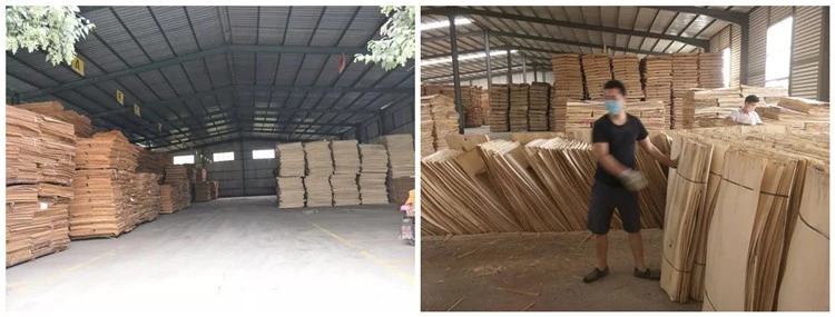 product-750-285 product-750-285