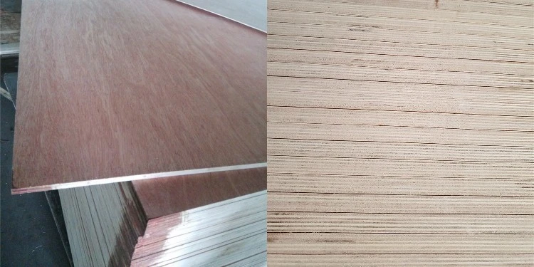 product-750-375 product-750-375