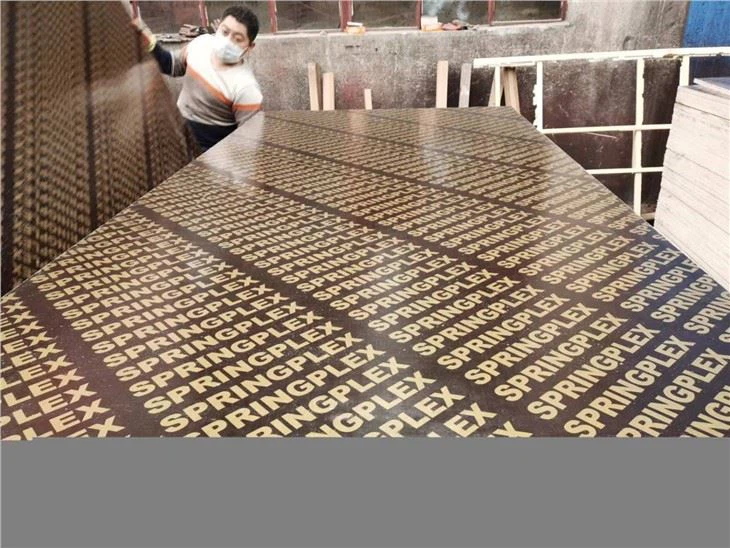15mm Film Faced Plywood Phenolic Board