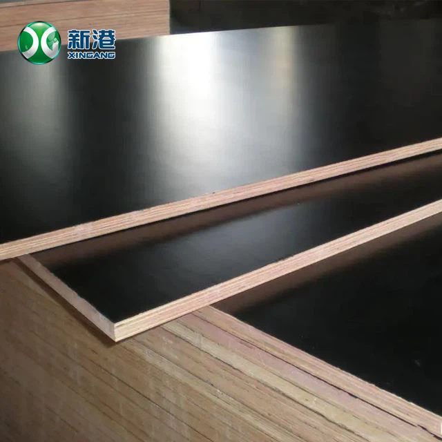 Birch Core F17 Certified Australian Standards Good Quality And Factory Price in China
