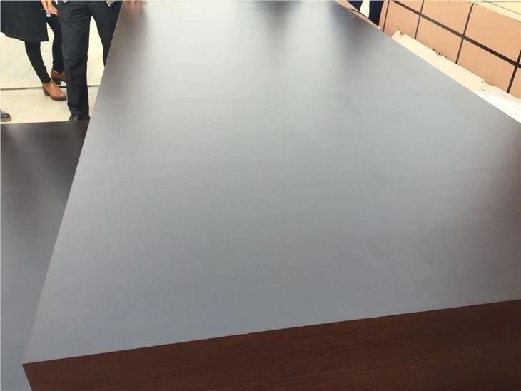 Film Faced Plywood For Concrete Use