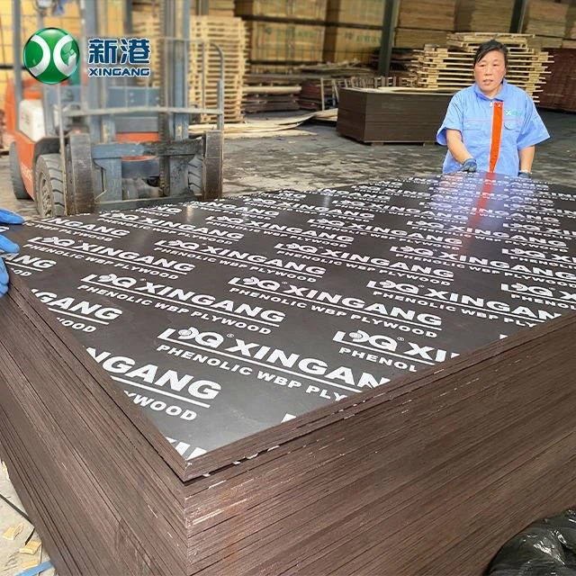 Standard Size Marine Film Faced Plywood