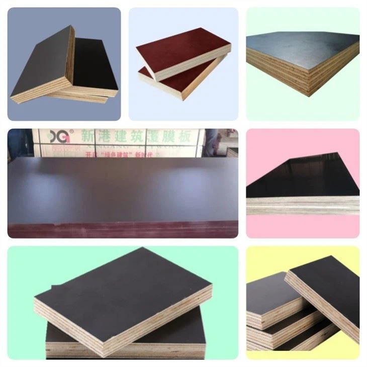 XG Construction Plywood Film Faced Plywood Hot Press Board