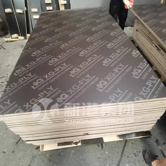OSB20241129